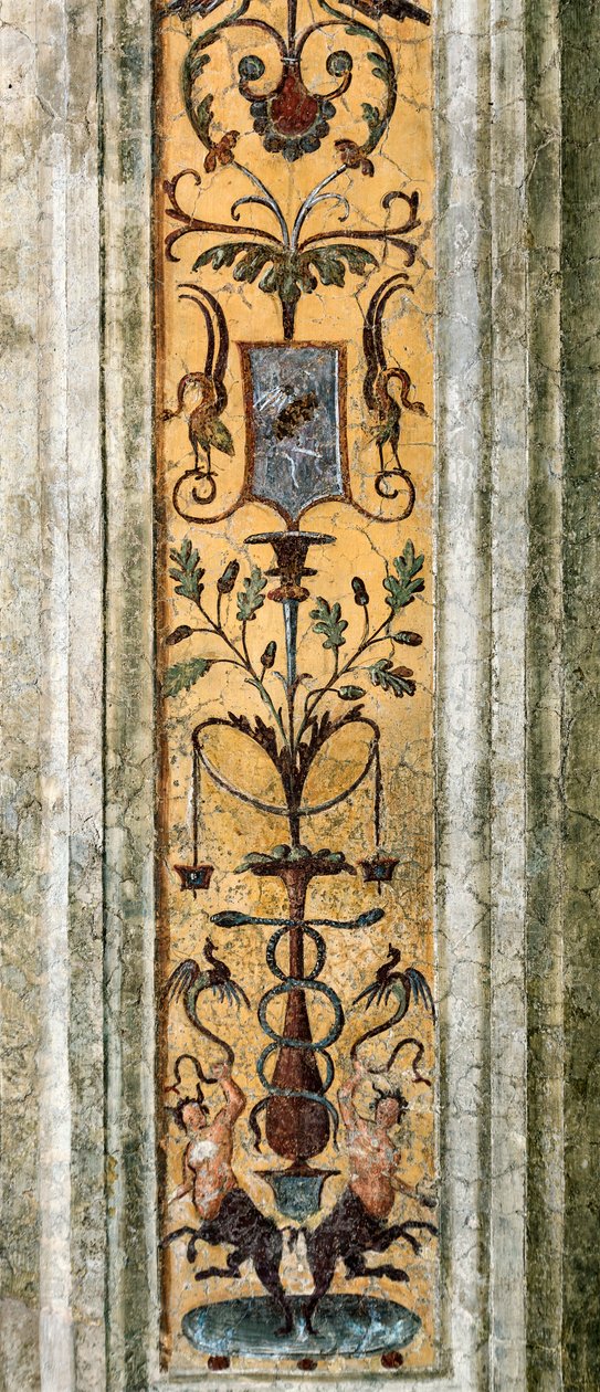 Détail de pilastre avec figures grotesques - Bernardino di Betto Pinturicchio