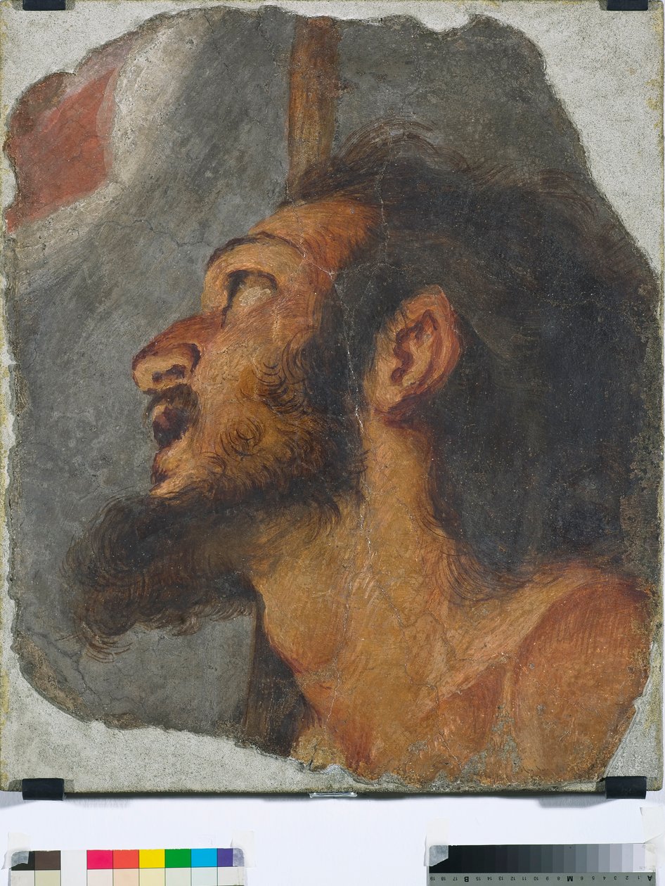 Tête de Saint Jean-Baptiste, fragment de fresque détachée, 1622 - Bernardo Strozzi