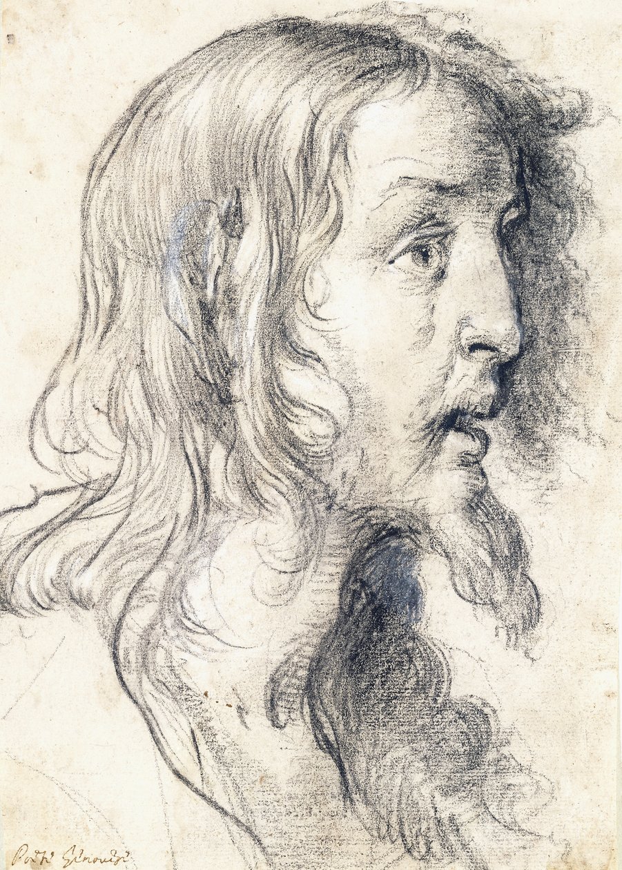 La tête du Christ de profil vers la droite - Bernardo Strozzi