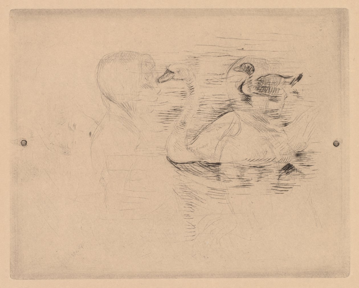 Cygne et canard, avec portraits de Julie - Berthe Morisot