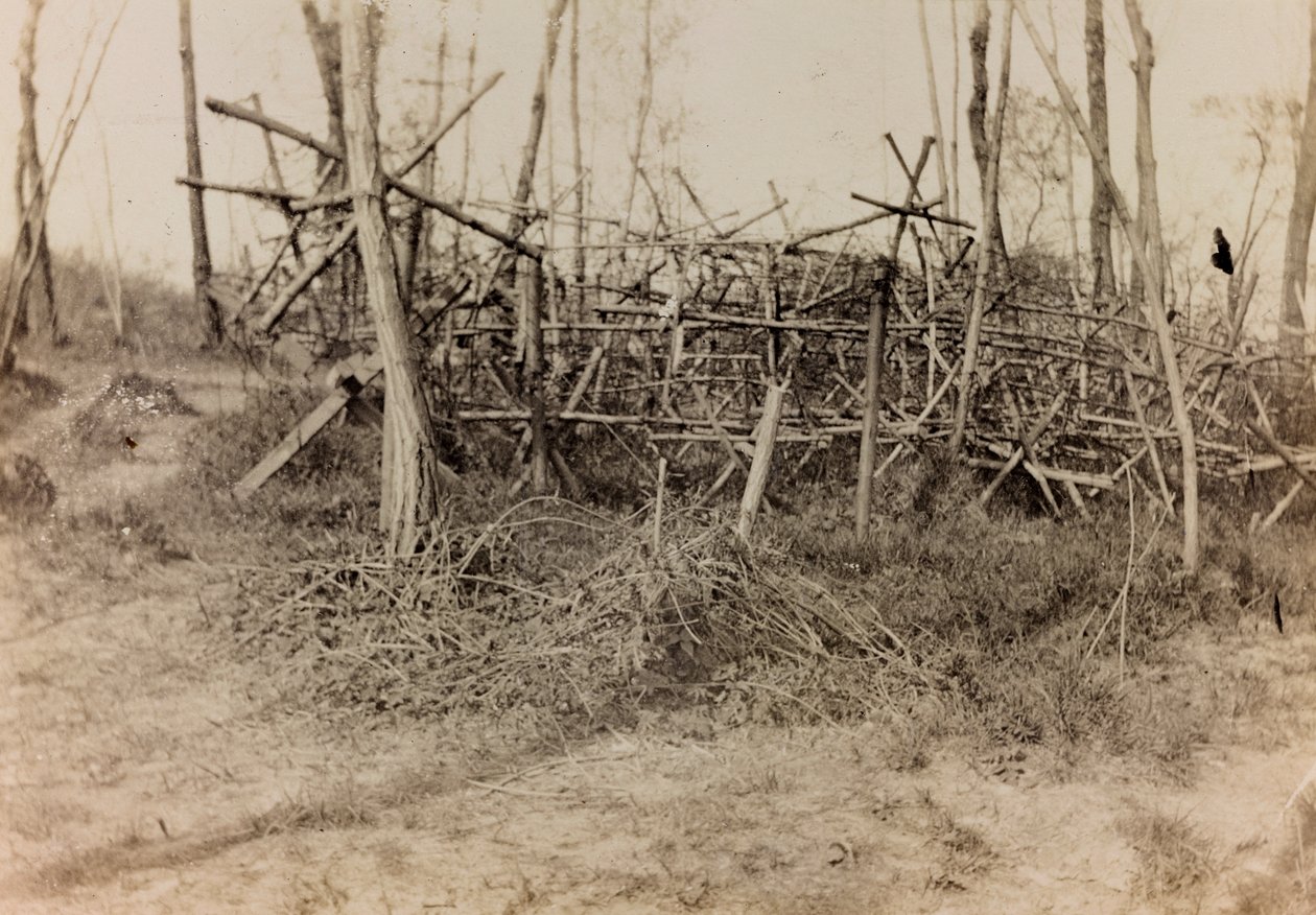Album de la Première Guerre mondiale en Frioul-Vénétie Julienne : obstacle défensif (cavalli di Frisia), 05/1916 - Bertoni Bertoni