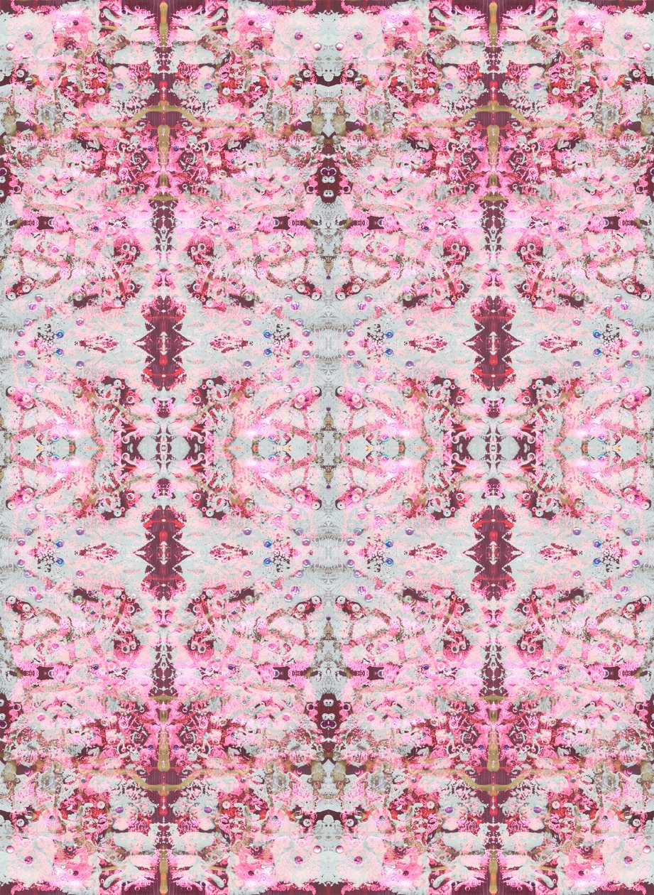 Burgandy Rose, 2015 (technique mixte, illustration, numérique) - Beth Travers