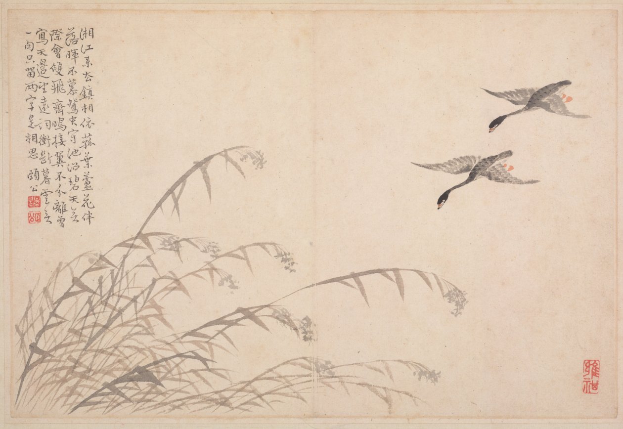 Album de calligraphie et de peintures - Bian Shoumin
