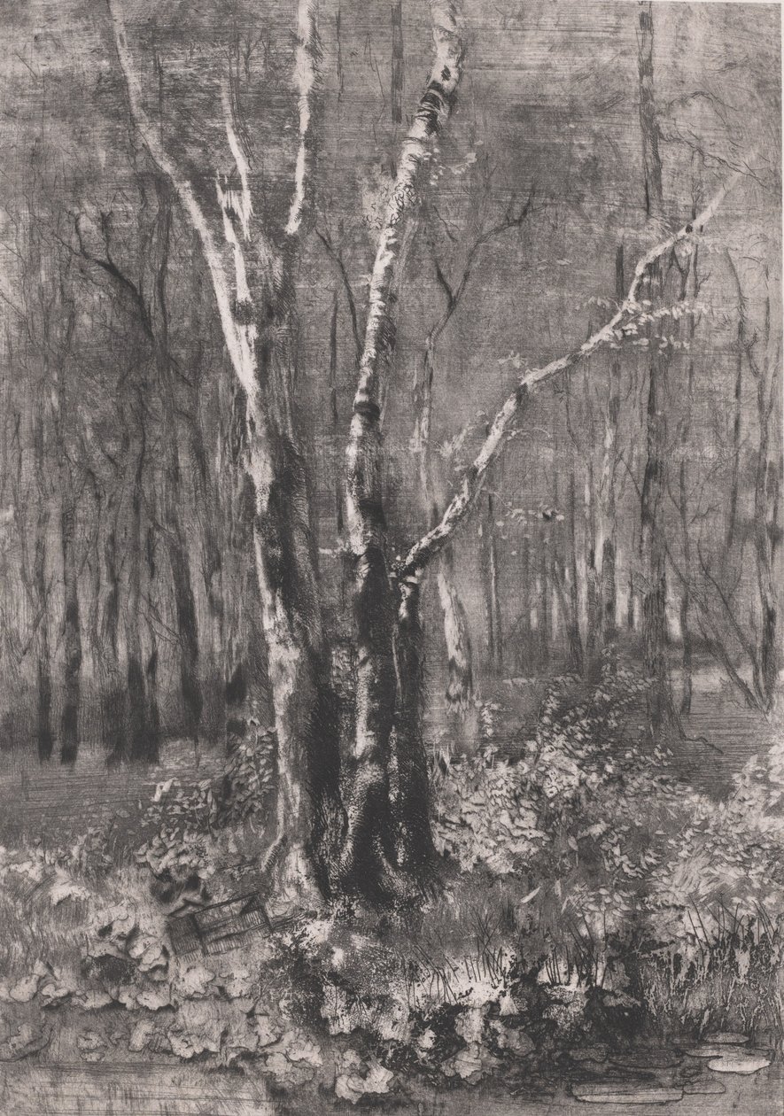 Bois dans le parc près de Monza, 1895 - Bianchi Mose