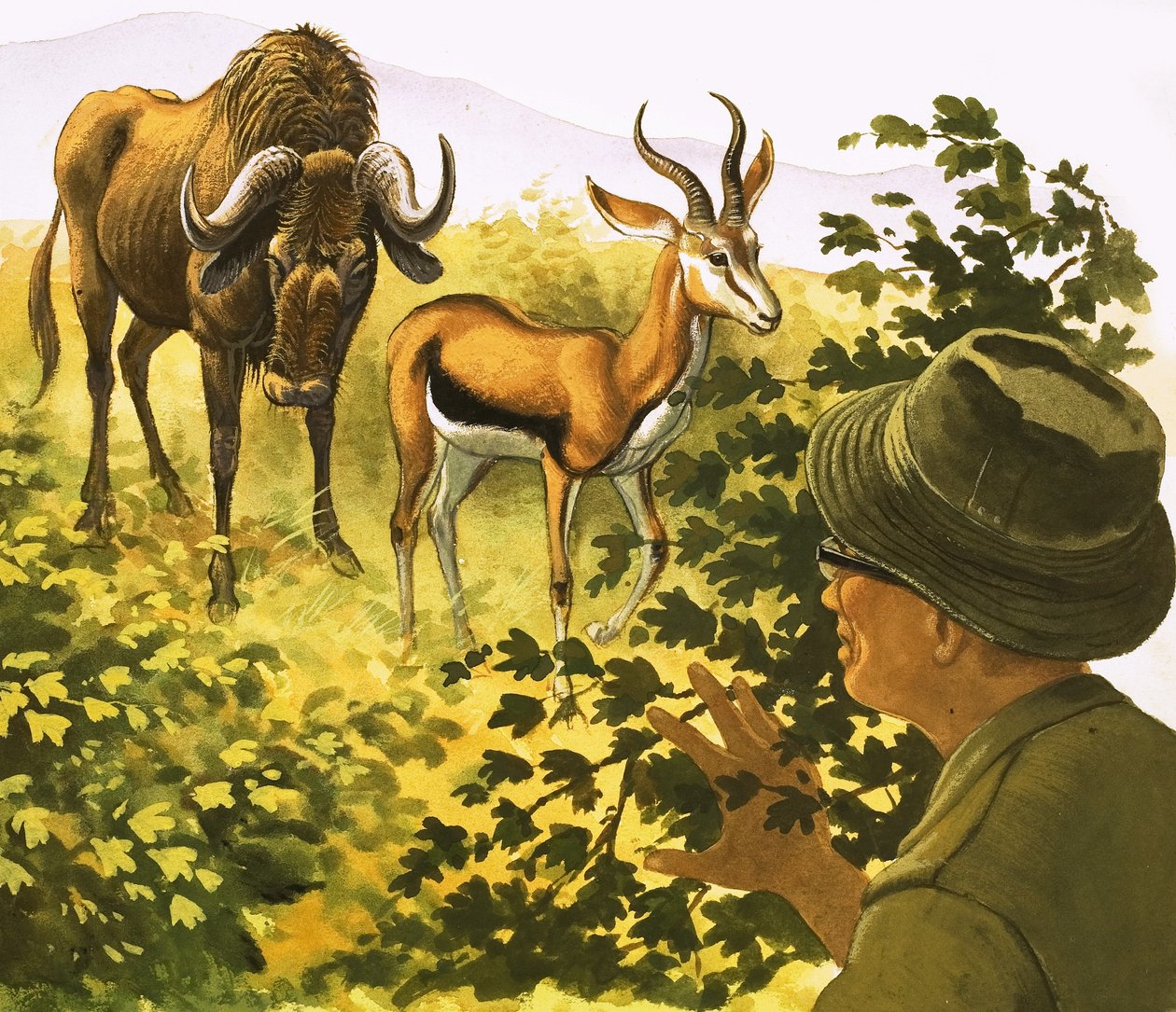 Homme observant un gnou et une antilope à travers les buissons - Bob Hersey