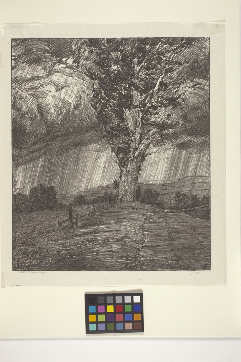 Tempête - Bolton Coit Brown