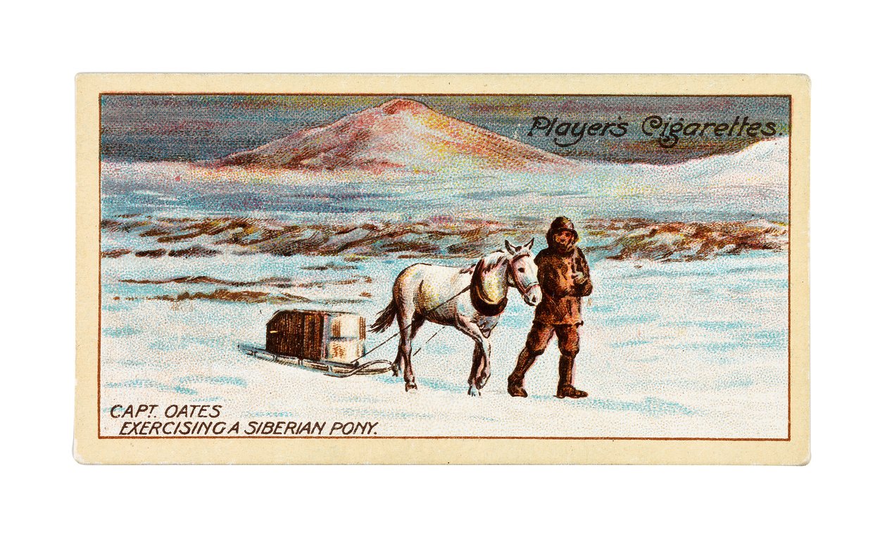 Capitaine L.E.G. Oates exerçant un poney sibérien sur la glace de mer au large du cap Evans - British School