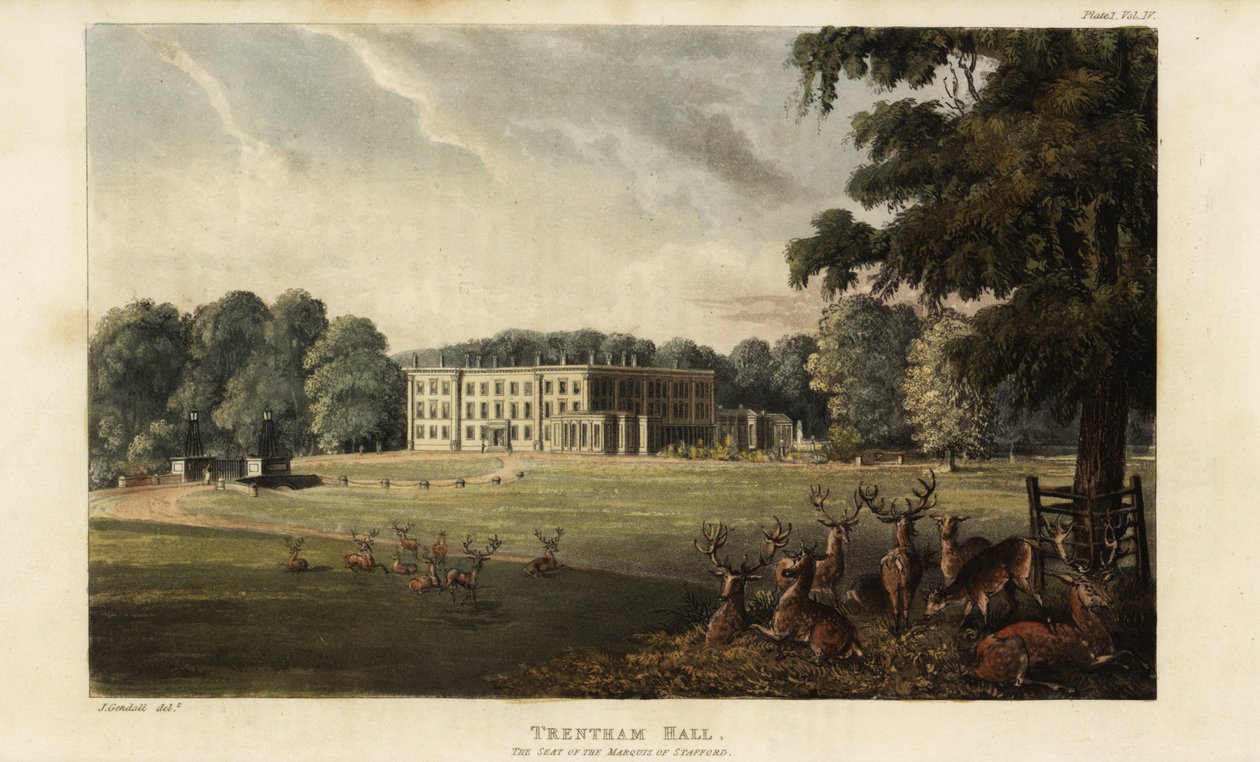 Troupeau de cerfs devant Trentham Hall - British School