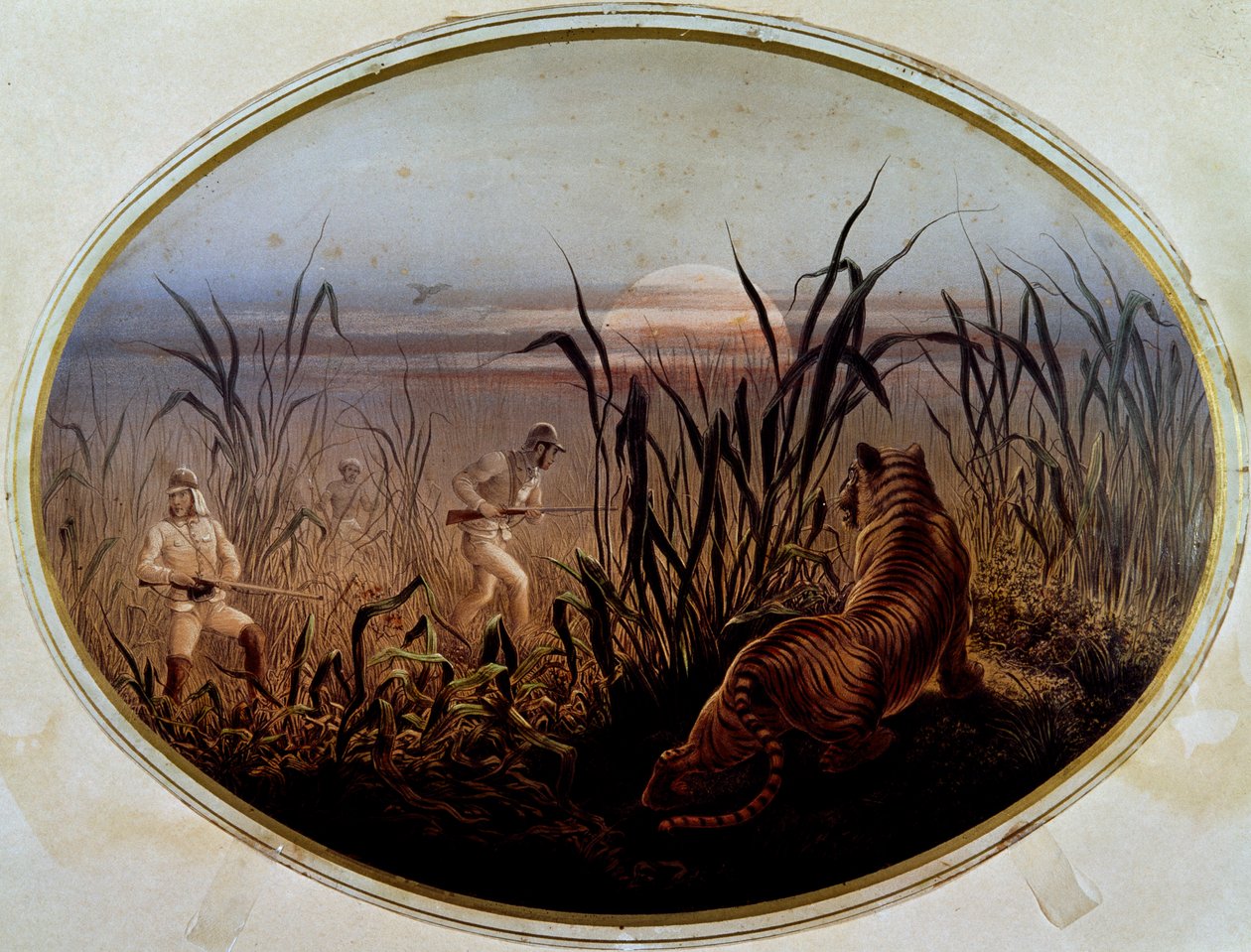 Chasse au tigre dirigée par l