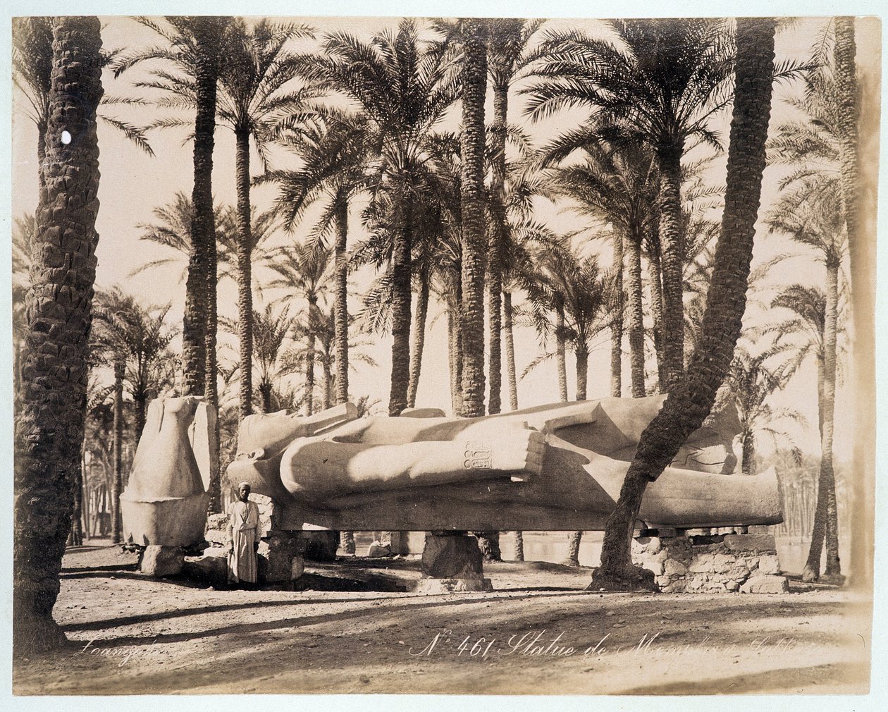Une statue de Memphis repose dans une palmeraie en Égypte - photographie des frères Zangaki, fin XIXe siècle - Brothers Zangaki