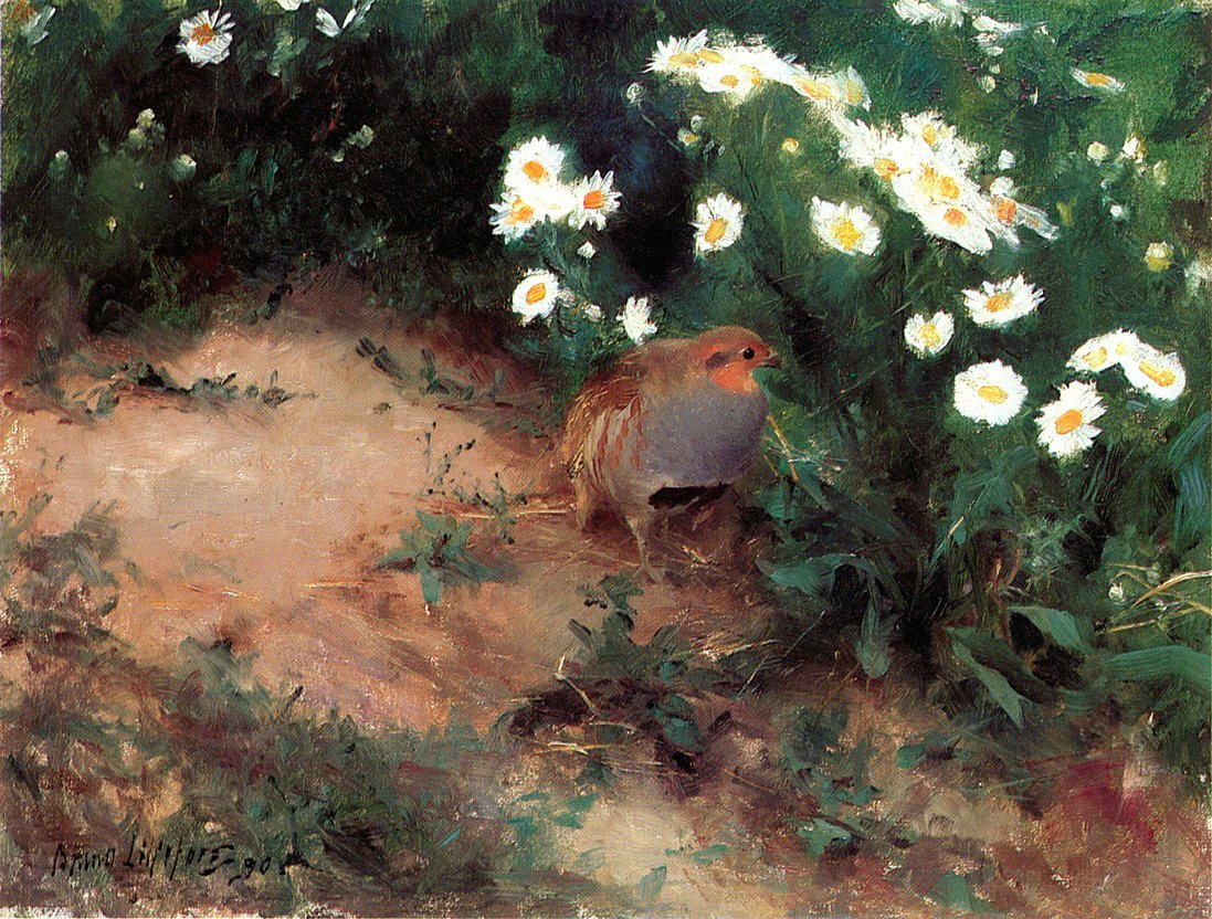 Perdrix avec des marguerites - Bruno Andreas Liljefors