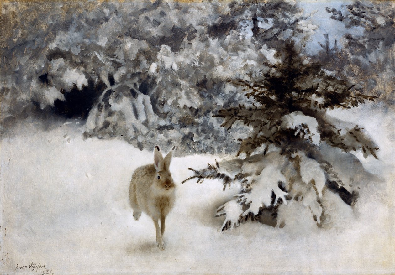 Un lièvre dans la neige - Bruno Andreas Liljefors