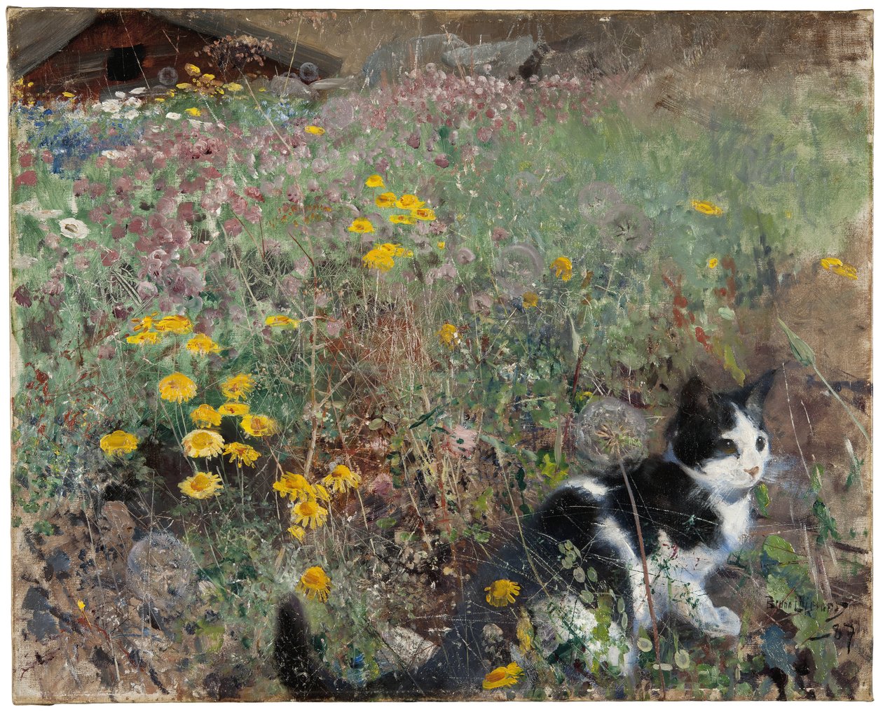 Chat dans une prairie fleurie - Bruno Andreas Liljefors