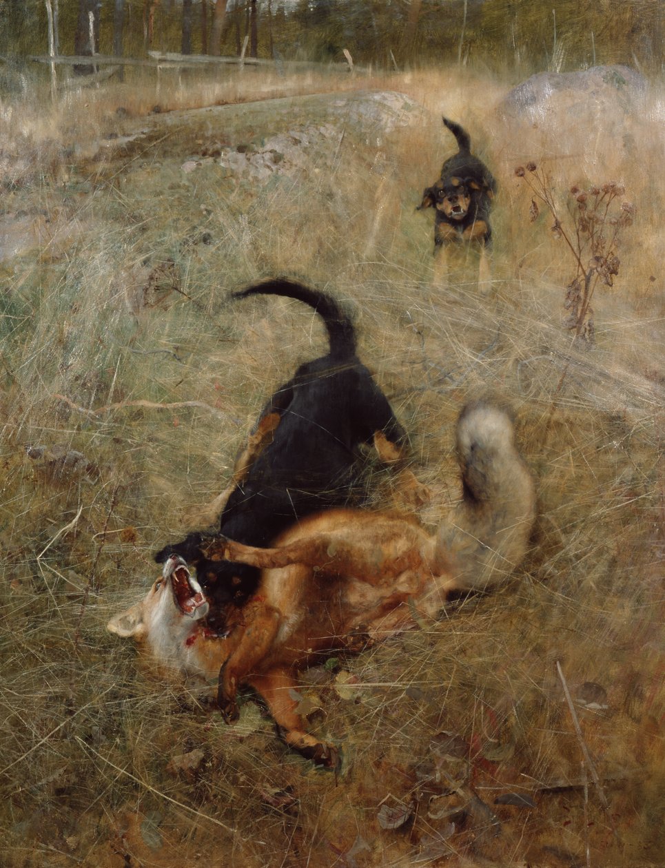 Chiens et renard - Bruno Andreas Liljefors