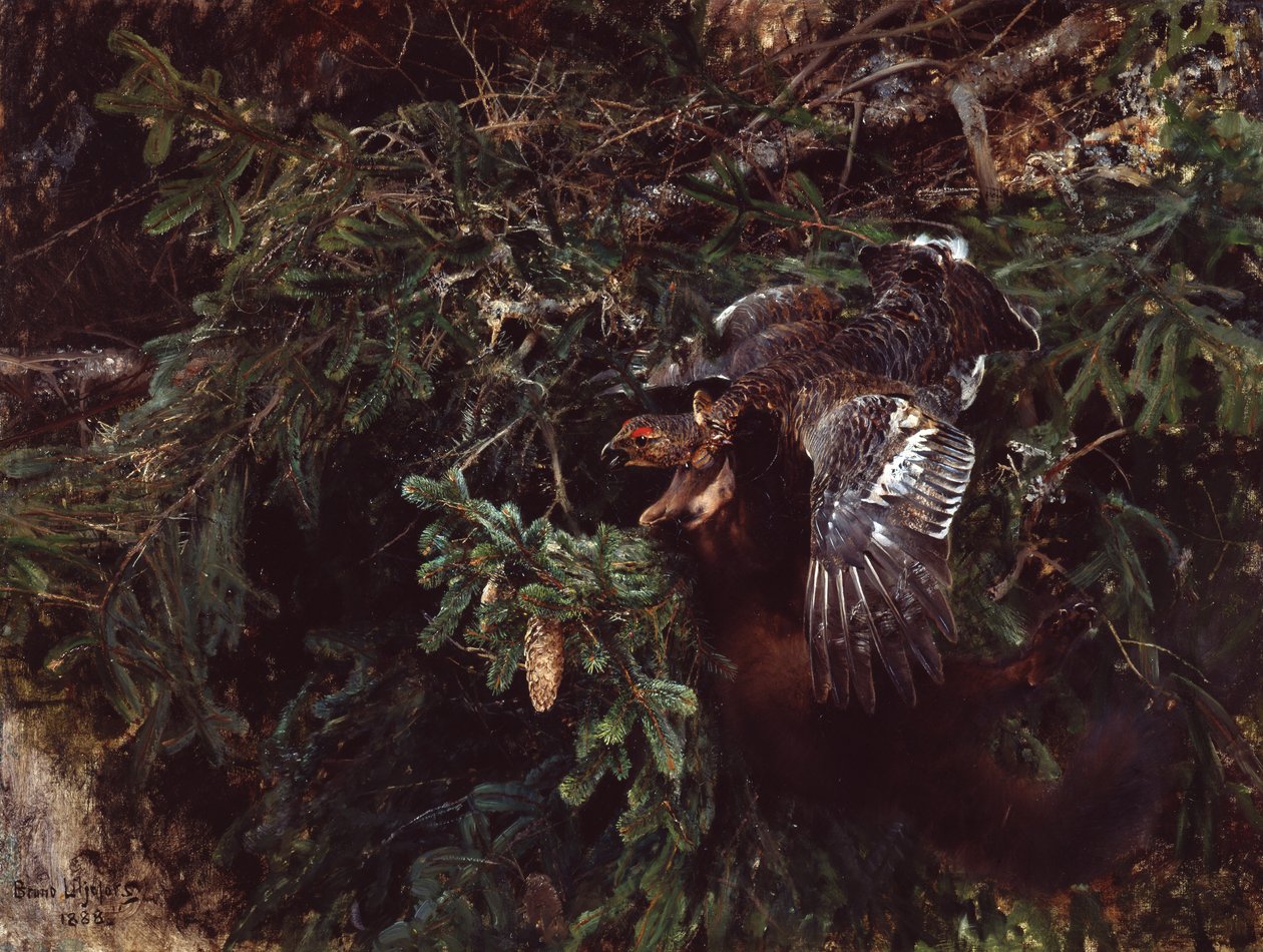 Martre et coq de bruyère - Bruno Andreas Liljefors