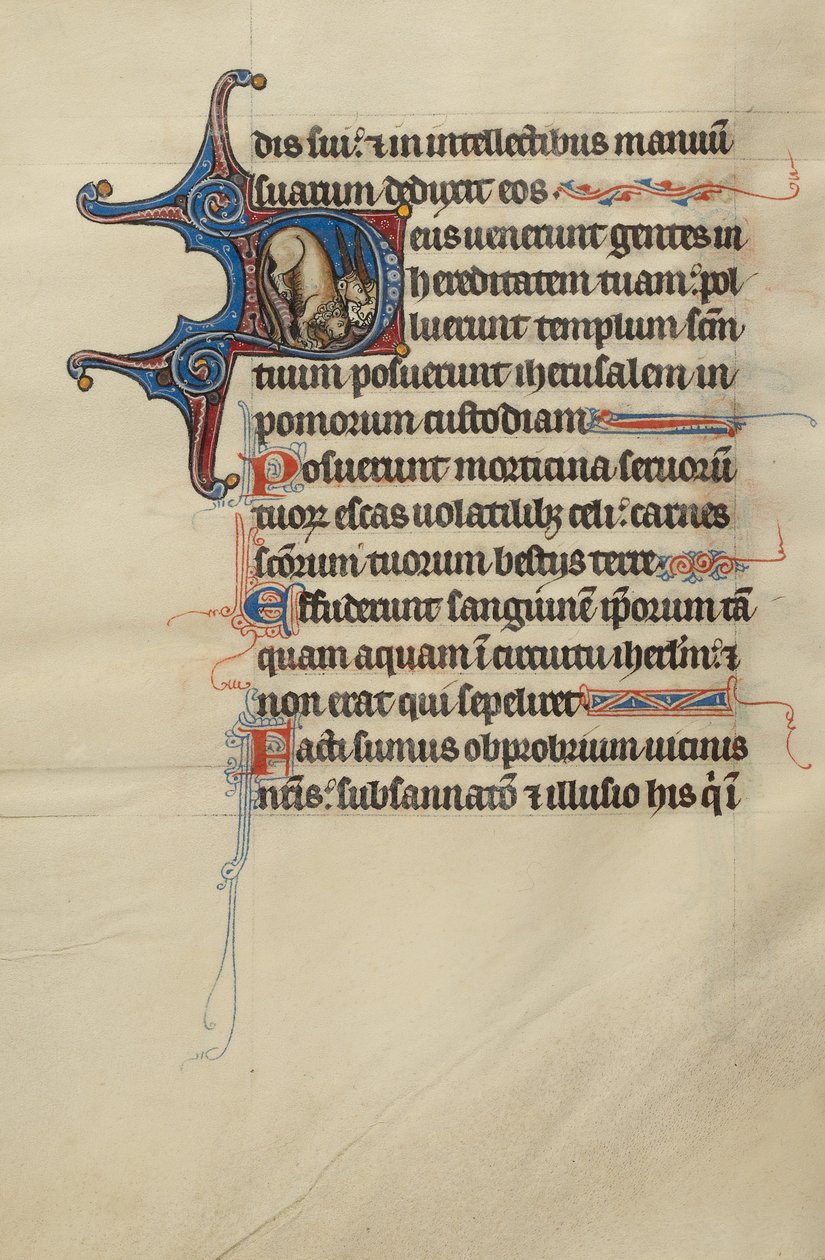 Initiale D : Un lion et des licornes - Bute Master