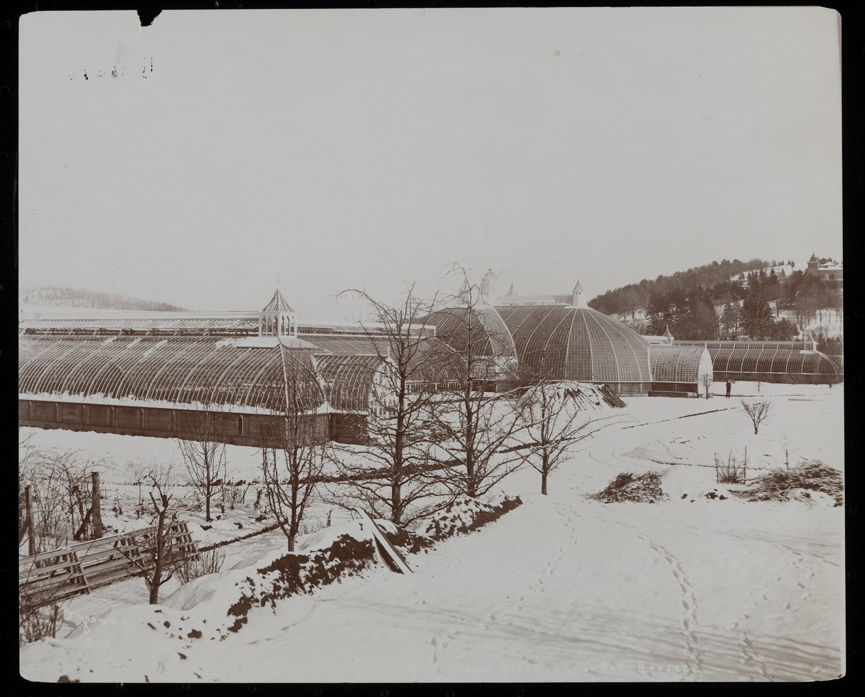 Les serres dans la neige au domaine Helen Gould (ancienne résidence de Jay Gould) à Tarrytown, New York - Byron Company