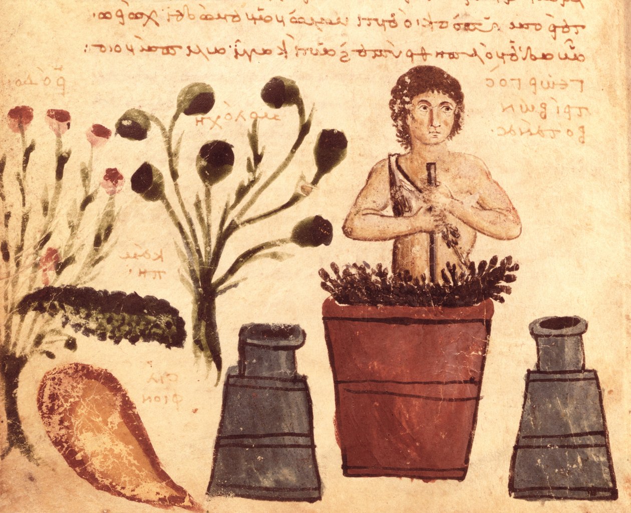 Ms Supp Grec 247 fol.5 Un paysan préparant une pommade pour se protéger contre les serpents, tiré du Theriaca de Nicandre de Colophon (fl.2e siècle av. J.-C.) - Byzantine