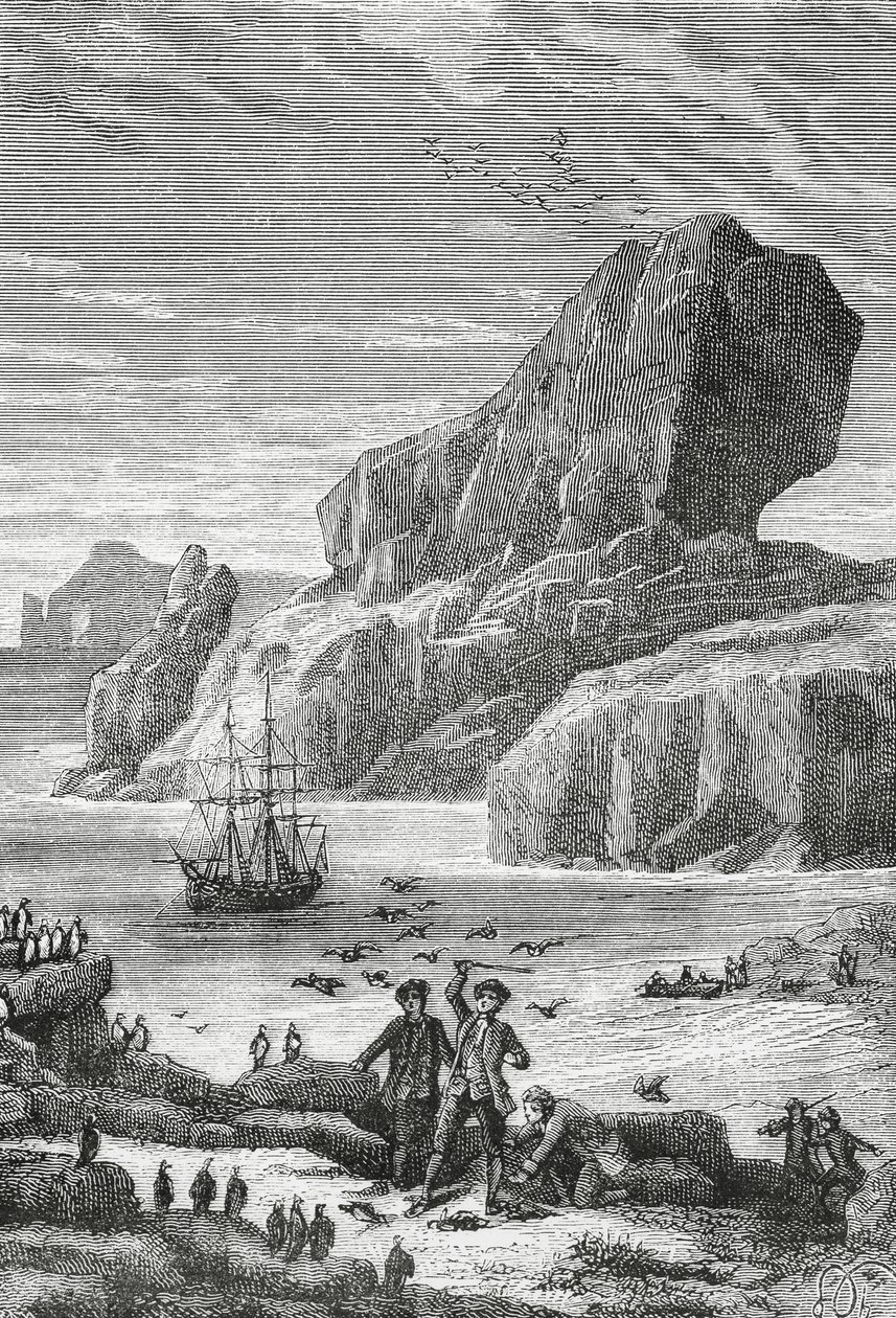 Découverte de la France australe (îles Kerguelen) par l