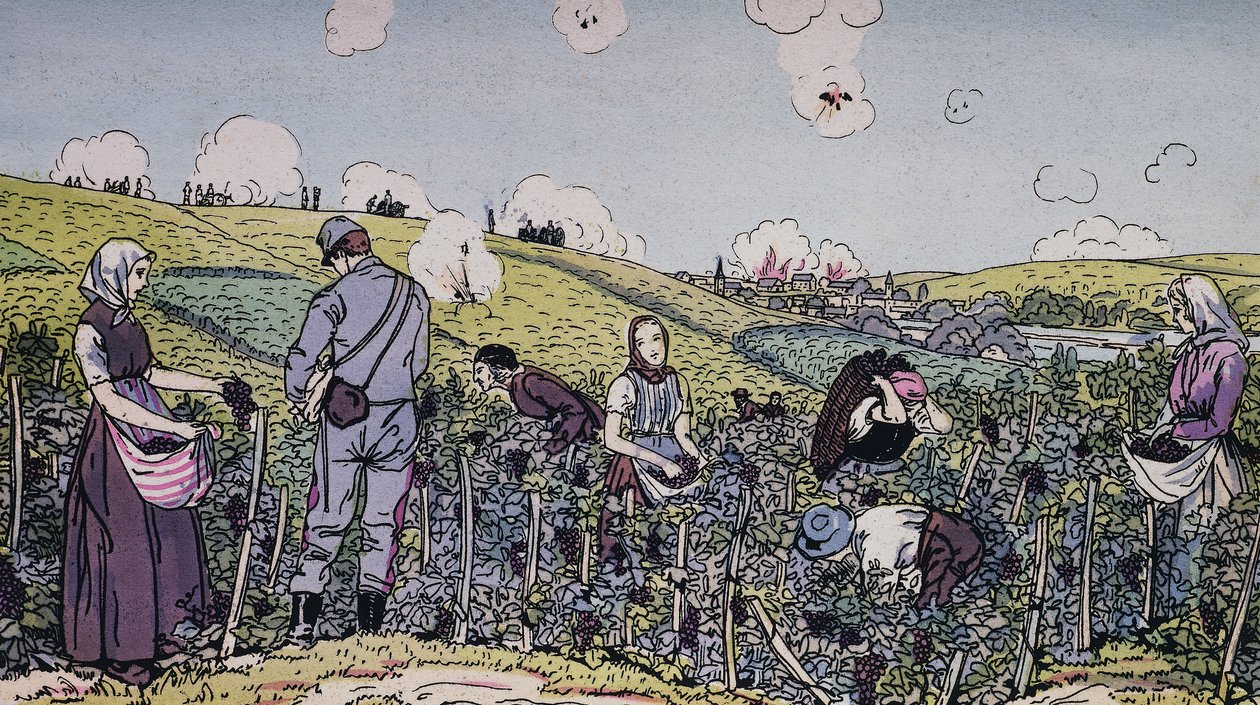 Nos vignerons récoltés sous le feu, la récolte dans la région de Champagne en 1914, Première Guerre mondiale, France, 20e siècle - J.B. and Brown J. Rowbotham