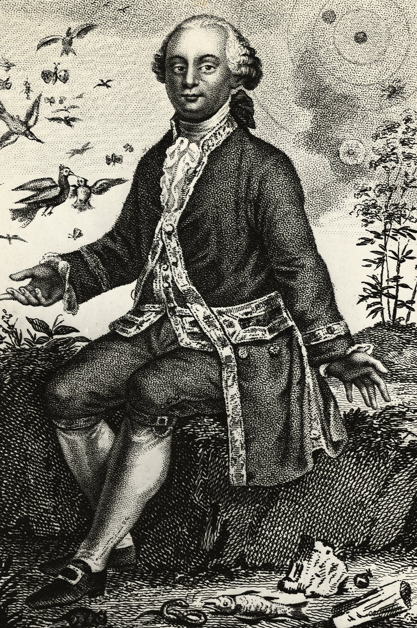 Portrait de Georges-Louis Leclerc de Buffon (1707-1788), naturaliste et mathématicien français, gravure - J.B. and Brown J. Rowbotham
