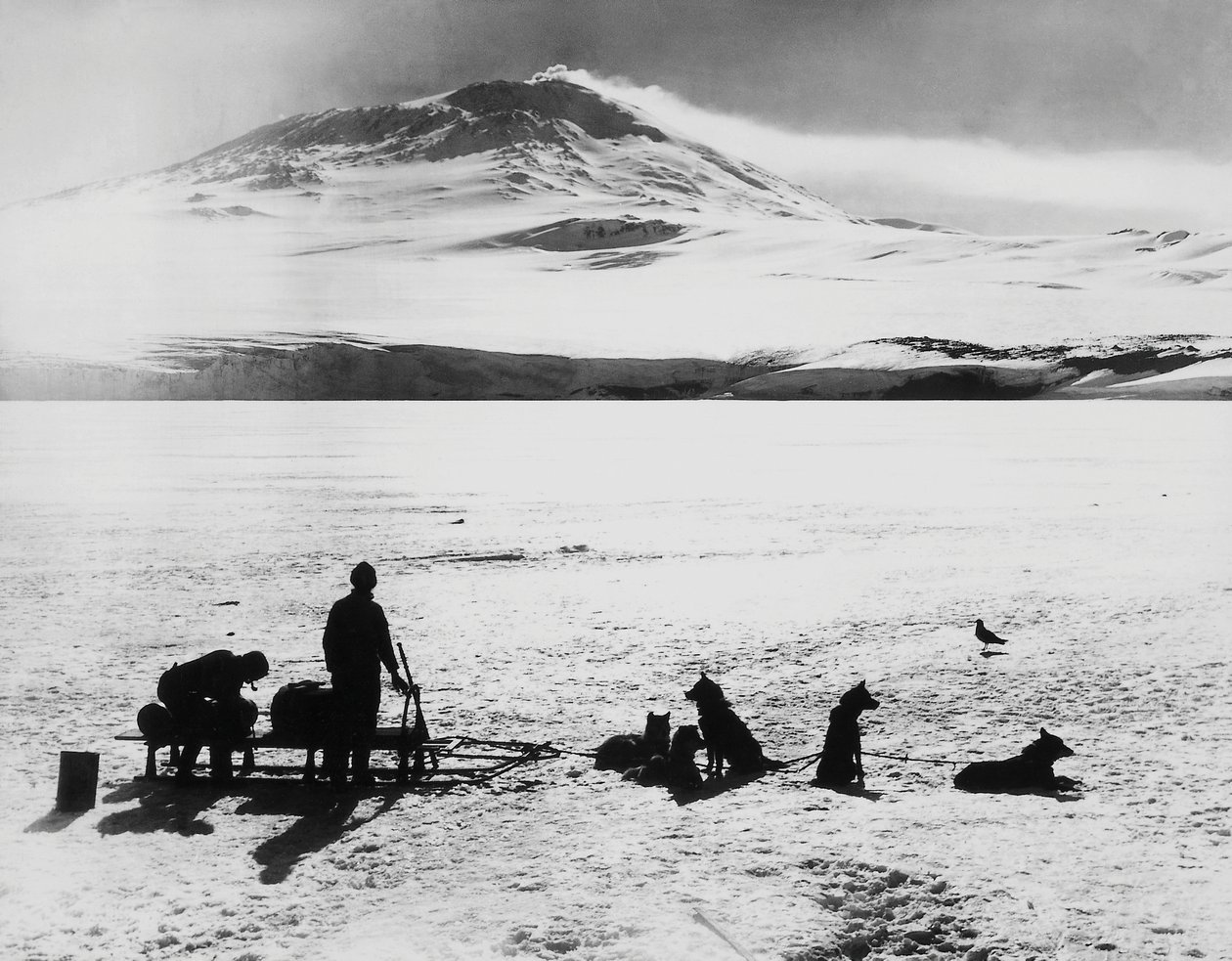 Expédition au pôle Sud par Robert Falcon Scott (1868-1912), explorateurs devant le volcan Erebus sur l