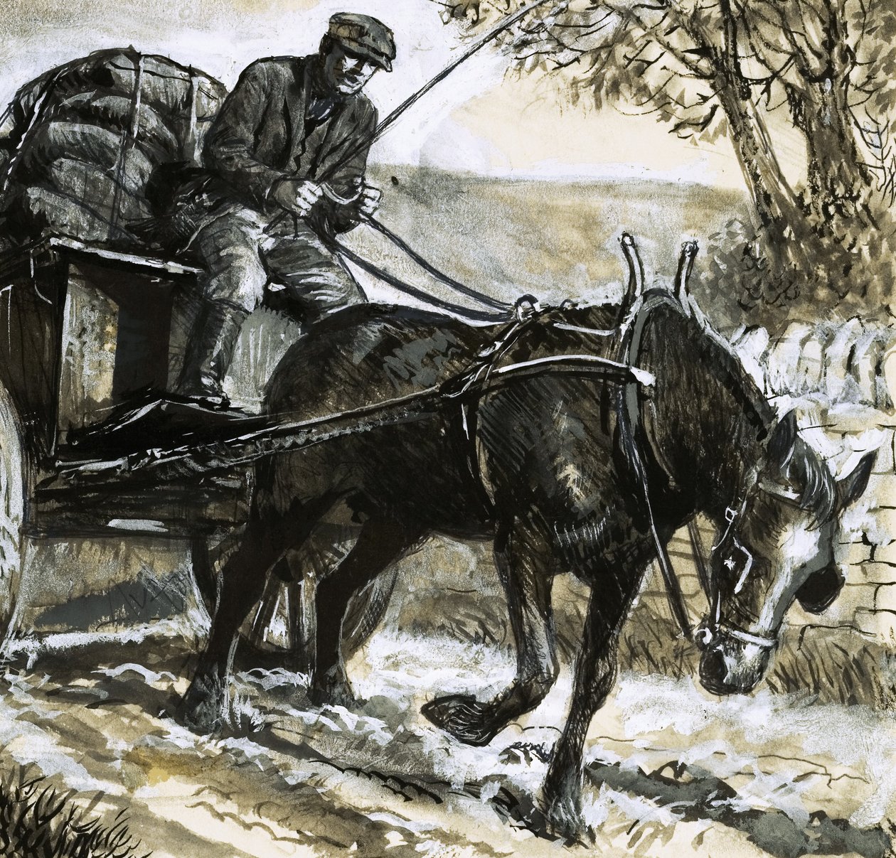 Les chevaux étaient sous-alimentés et surmenés - C.L. Doughty
