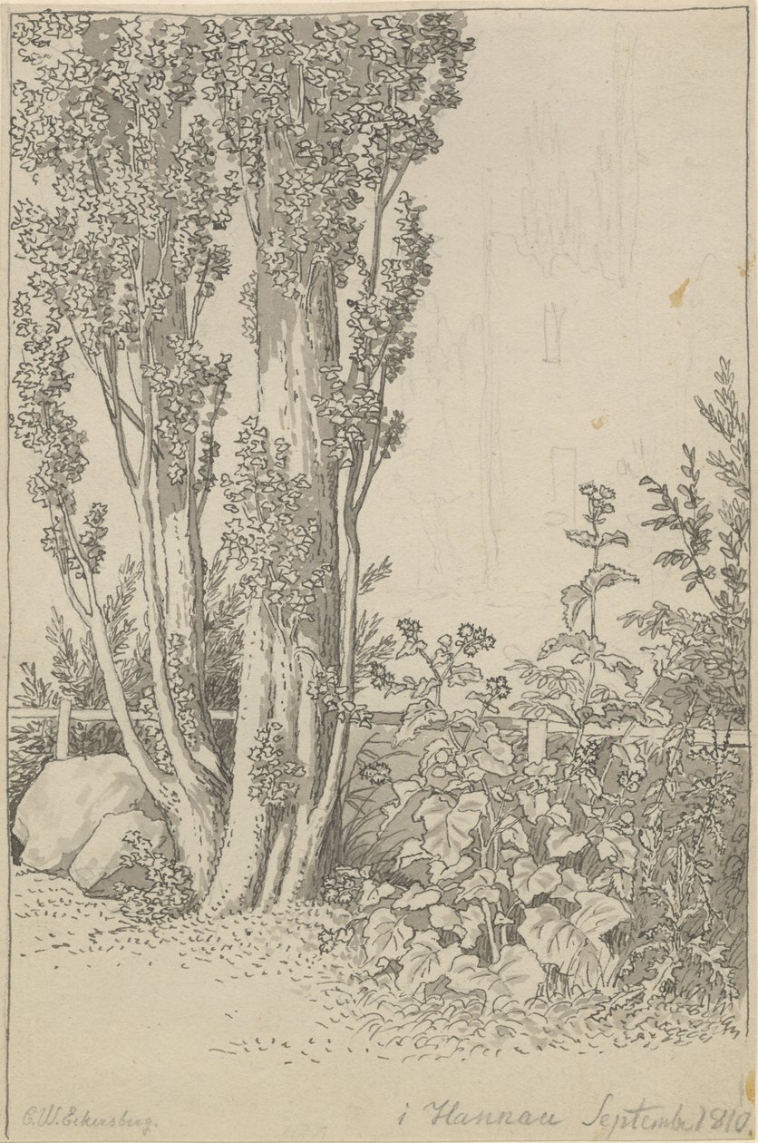 Peupliers et plantes sauvages près de Hannau - Christoffer Wilhelm Eckersberg