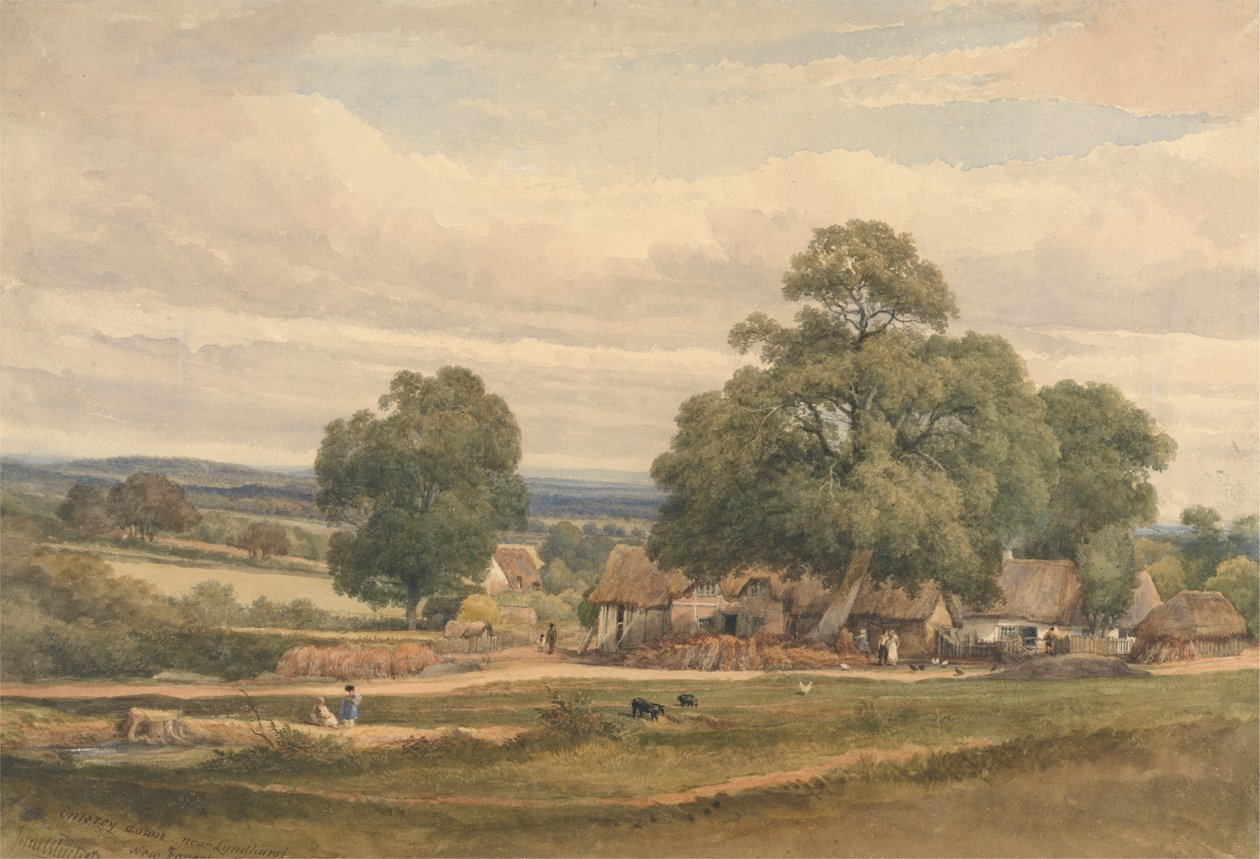 Emerey Down près de Lyndhurst, New Forest, Hants - C. John M. Whichelo