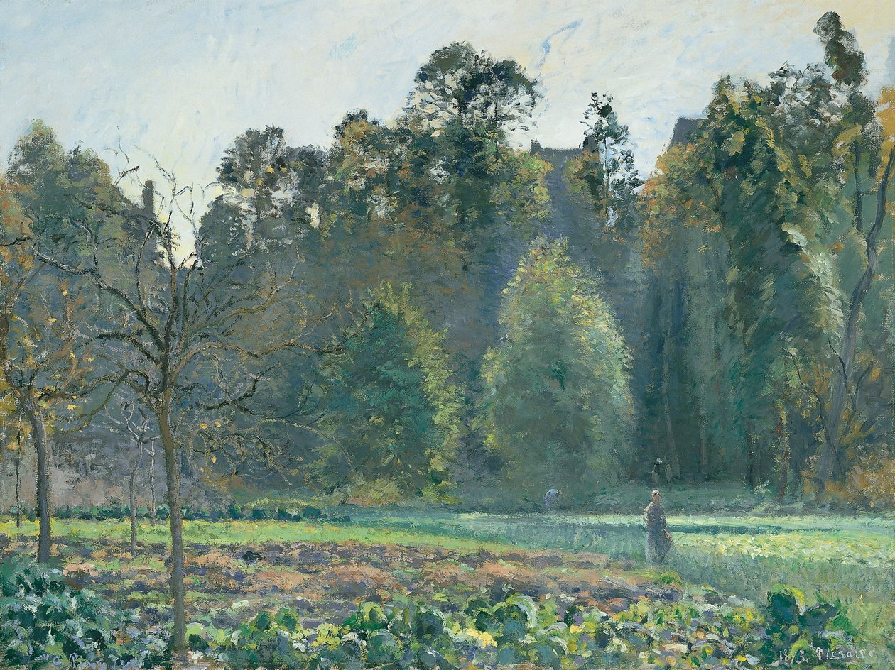 Le champ de chou, Pontoise - Camille Jacob Pissarro