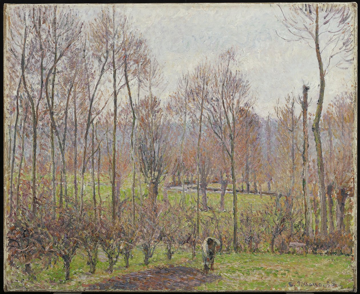 Peupliers, temps gris, Éragny, 1895 - Camille Jacob Pissarro