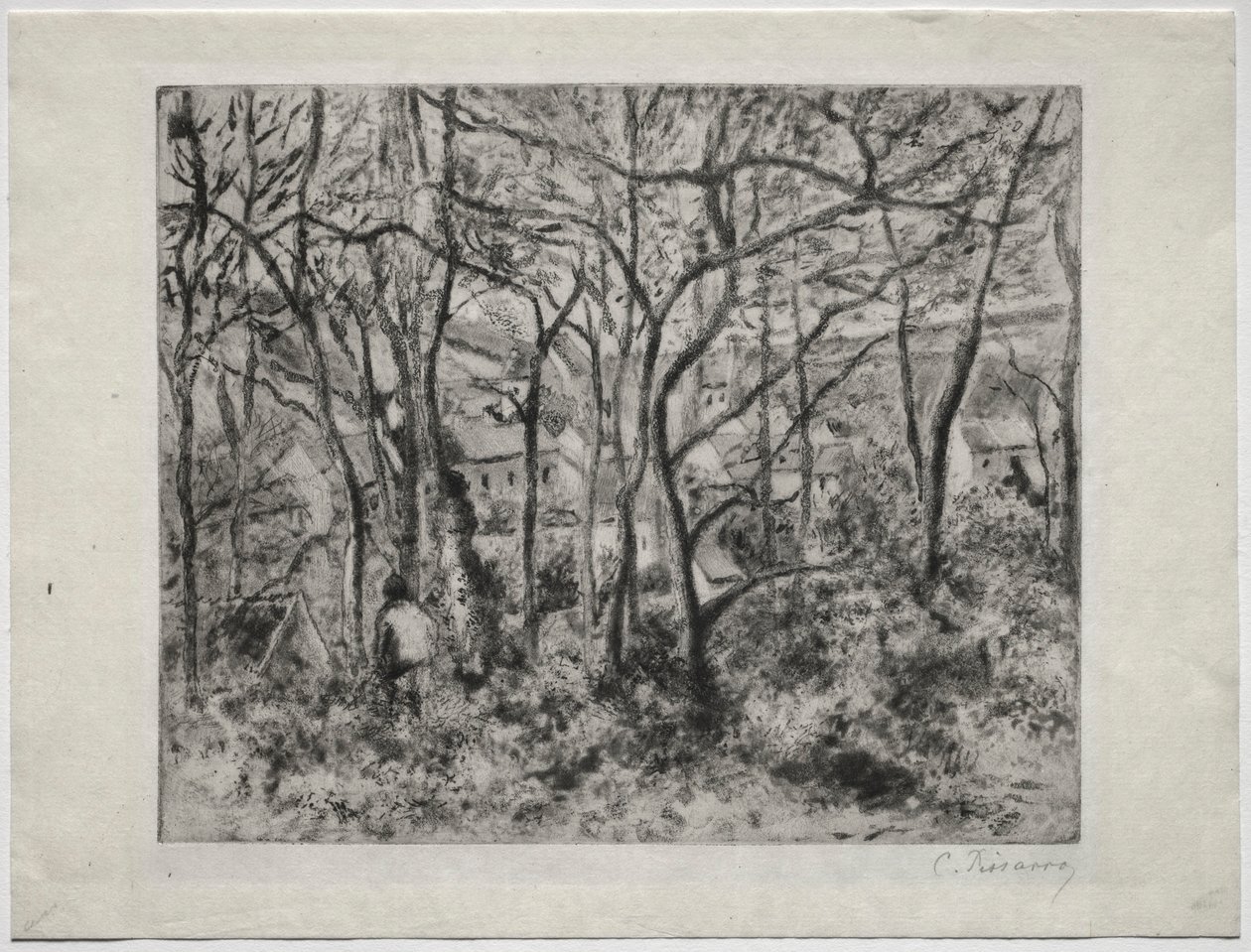 Paysage boisé à L
