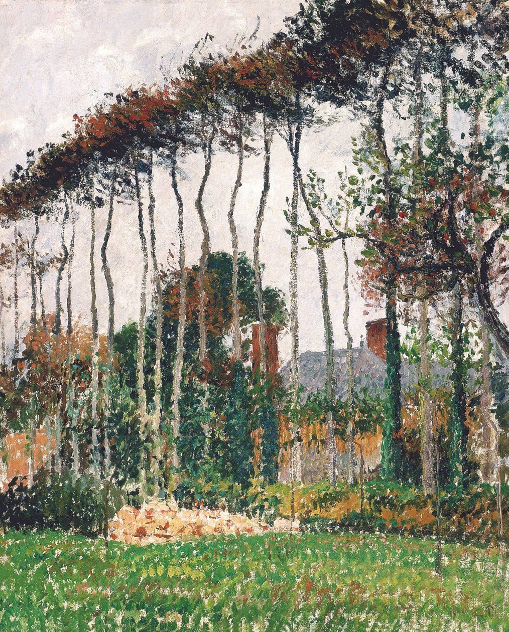 French : Les grands hêtres à Varengeville
French : Les grands hêtres rouges à Varengeville - Camille Pissarro
