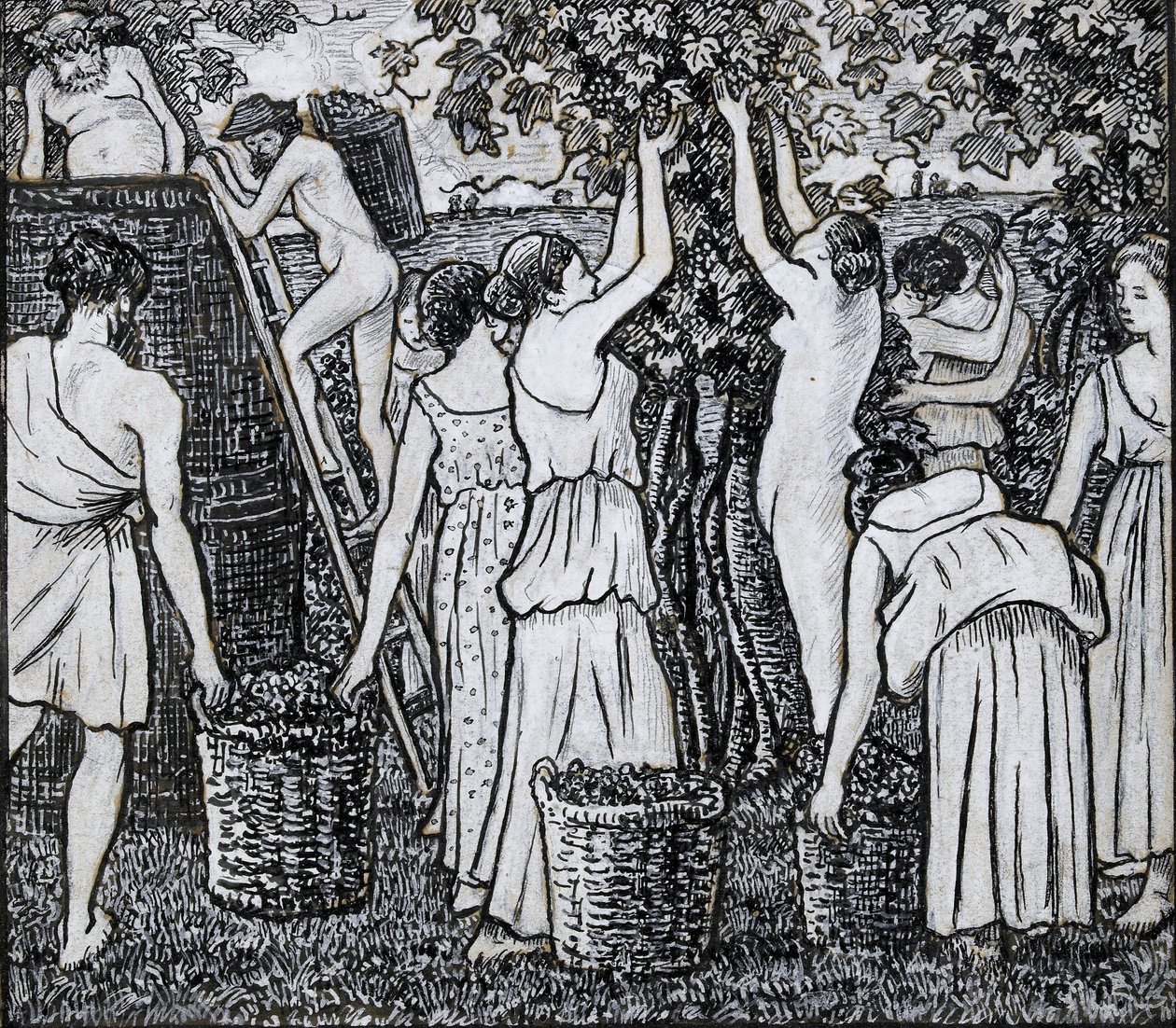Vendange, étude de composition pour une illustration de 