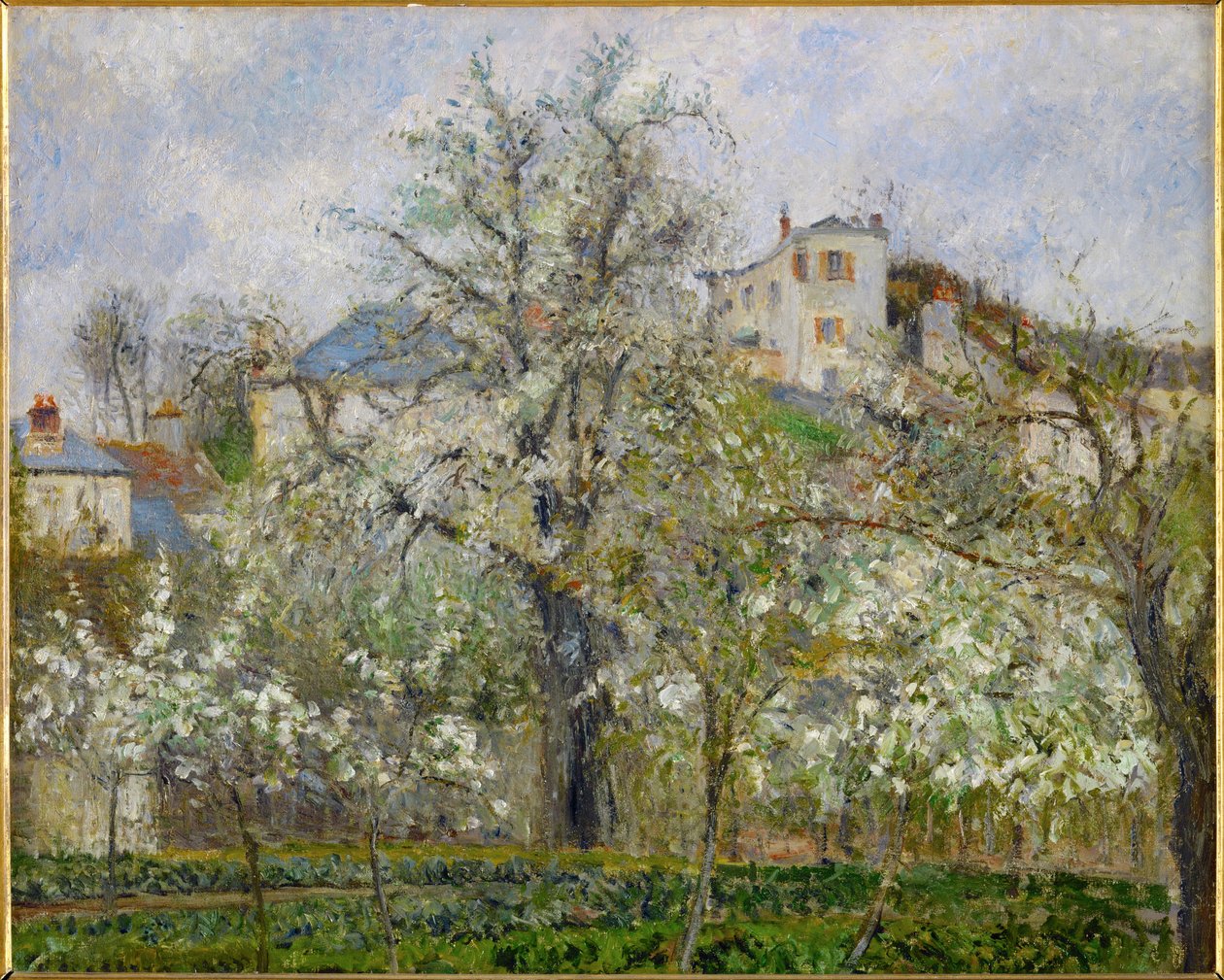 Printemps, fleurs de poirier (huile sur toile) - Camille Pissarro