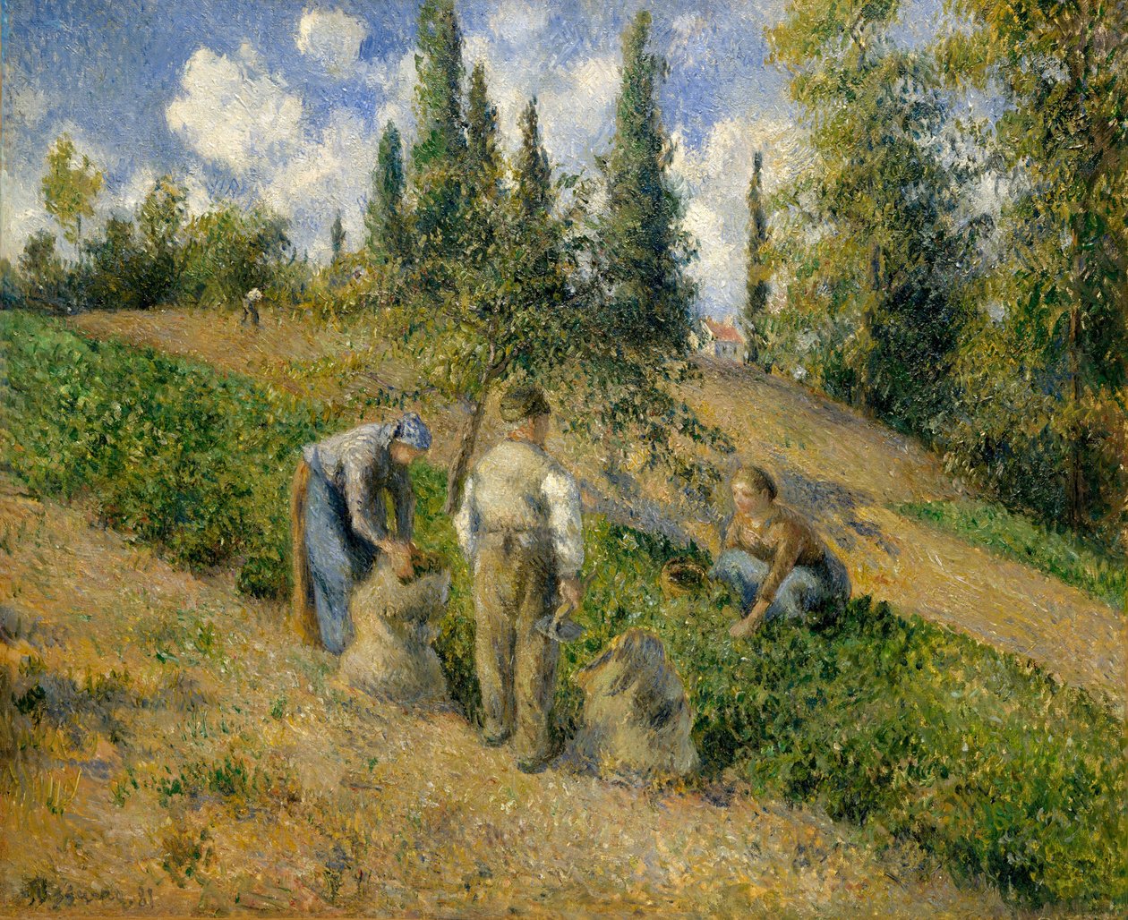 La Récolte, Pontoise, 1881 - Camille Jacob Pissarro