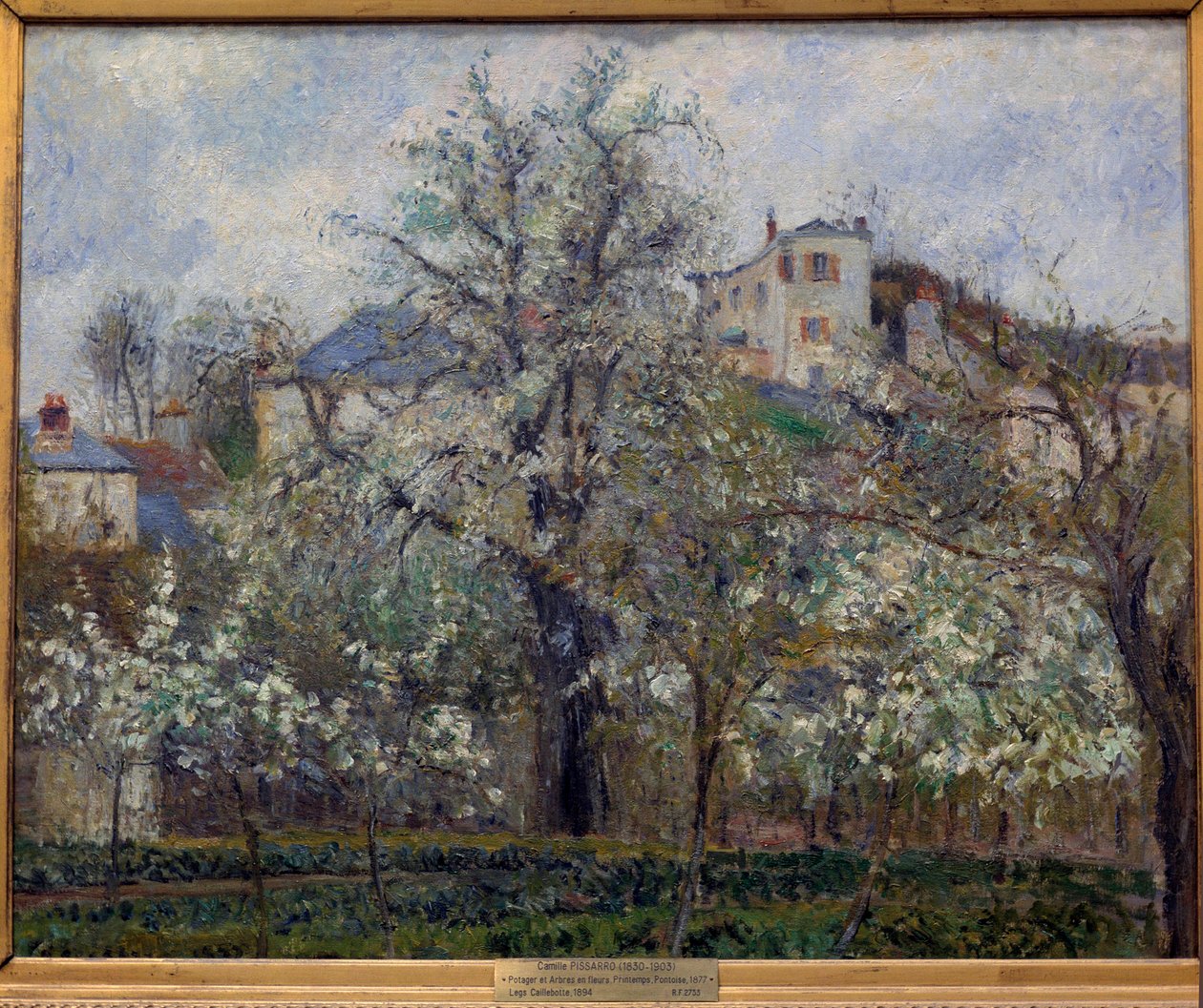 Potager et arbres en fleurs au printemps à Pontoise