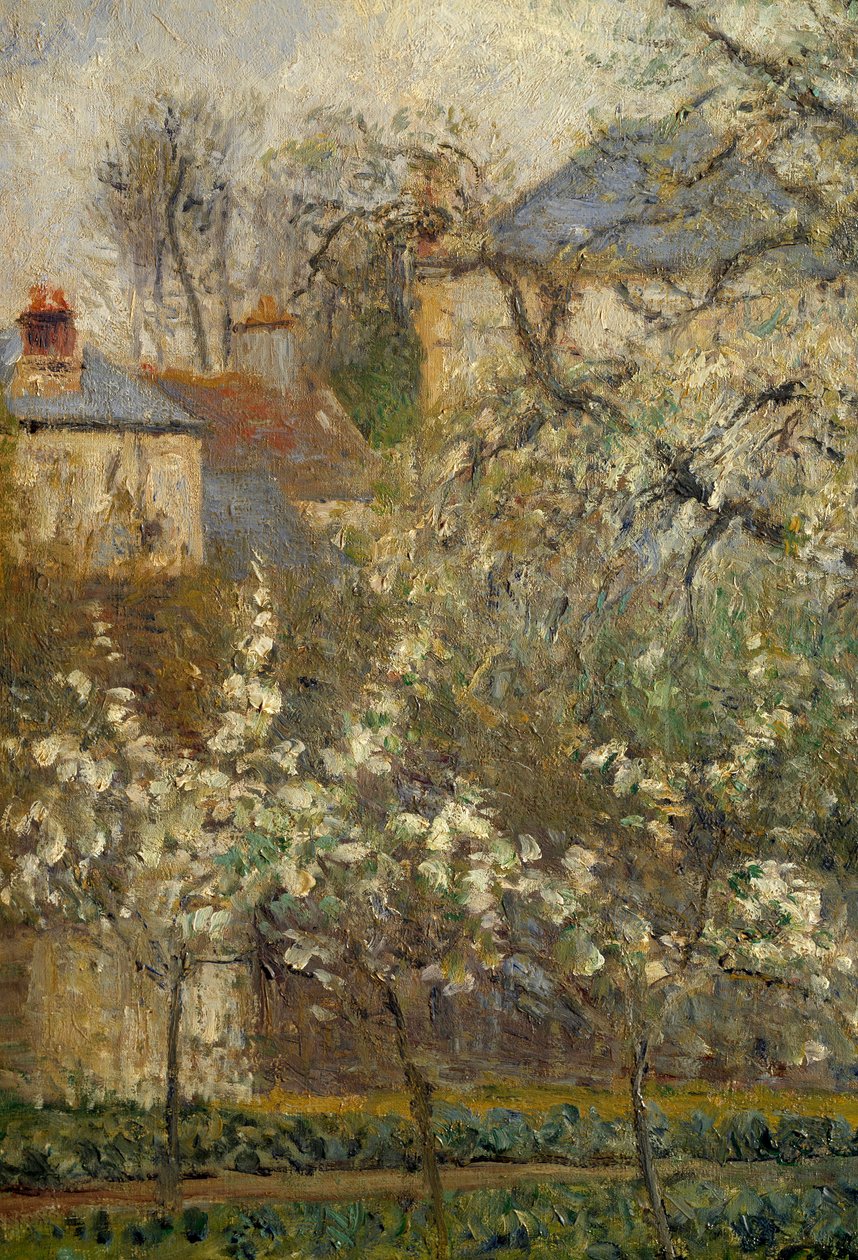 Jardin potager et arbres en fleurs au printemps à Pontoise - Camille Jacob Pissarro