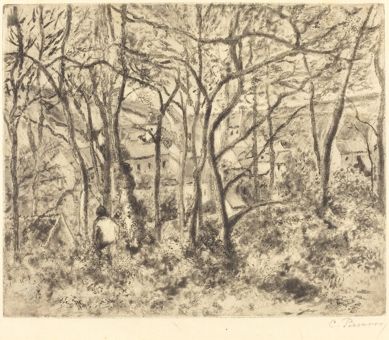Paysage boisé à L