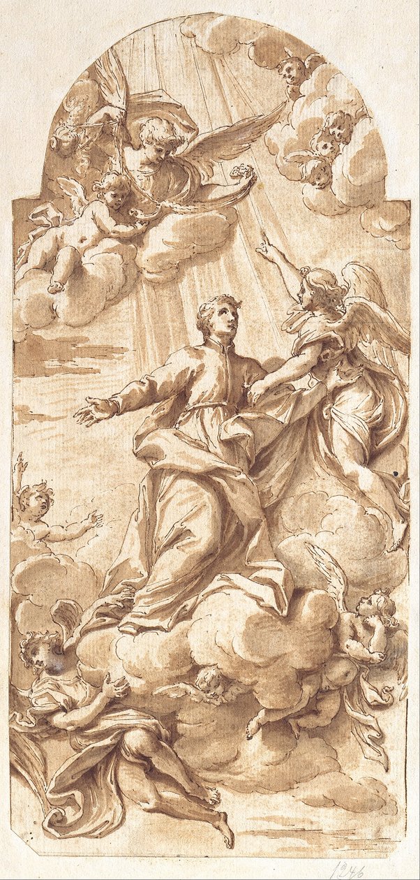 La gloire de Saint Jean François Régis - Camillo Rusconi