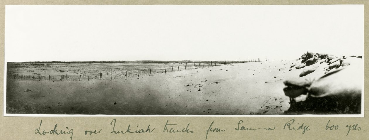 Regardant par-dessus les tranchées turques depuis Samson Ridge, septembre 1917 - Capt. Arthur Rhodes