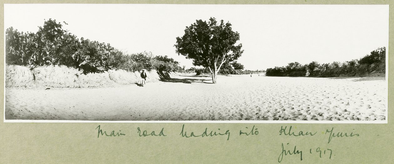 La route principale menant à Khan Yunis, juillet 1917 - Capt. Arthur Rhodes