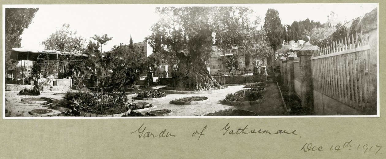 Jardin de Gethsémani, 14 décembre 1917 - Capt. Arthur Rhodes
