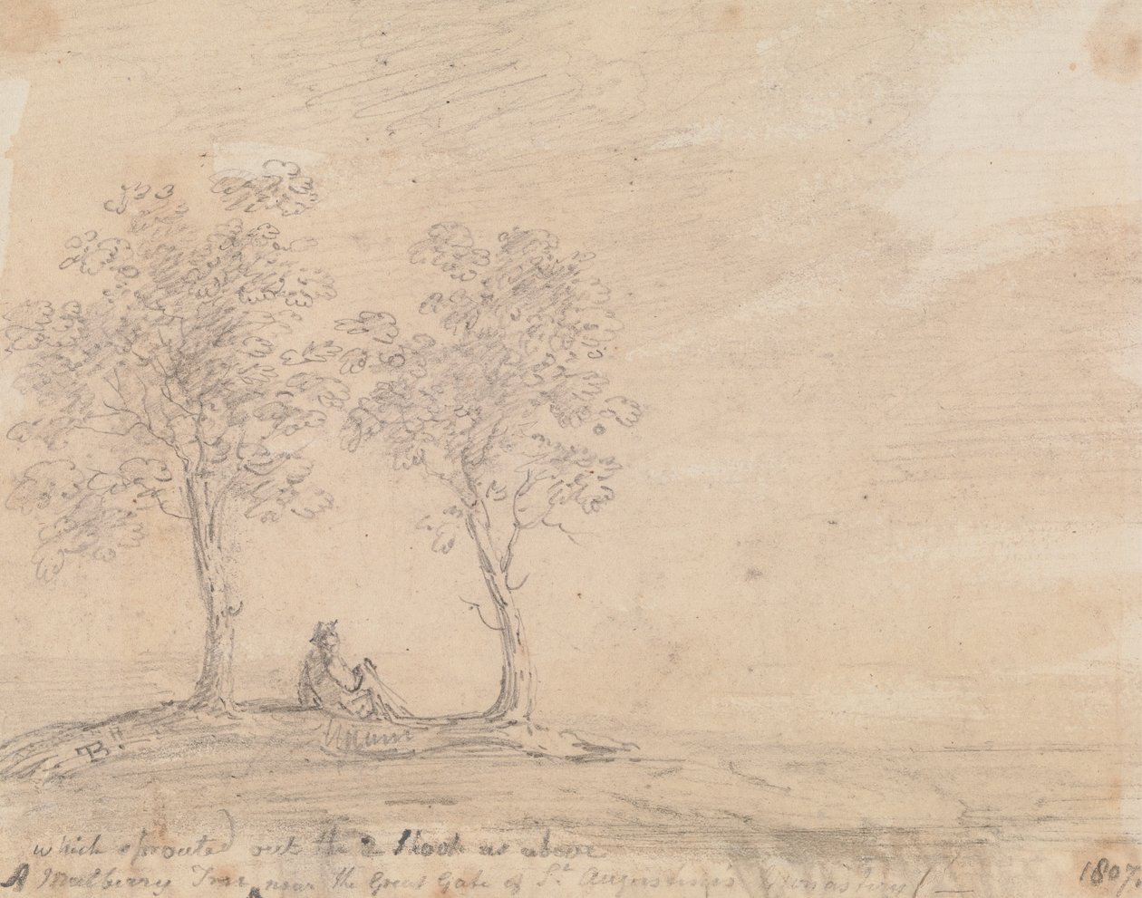 Un mûrier près de la grande porte du monastère de Saint-Augustin - Capt. Thomas Hastings