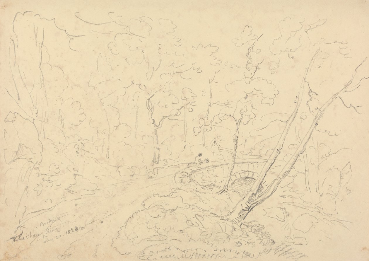 Pont et rivière de Holne Chase, 30 mai 1833 - Capt. Thomas Hastings