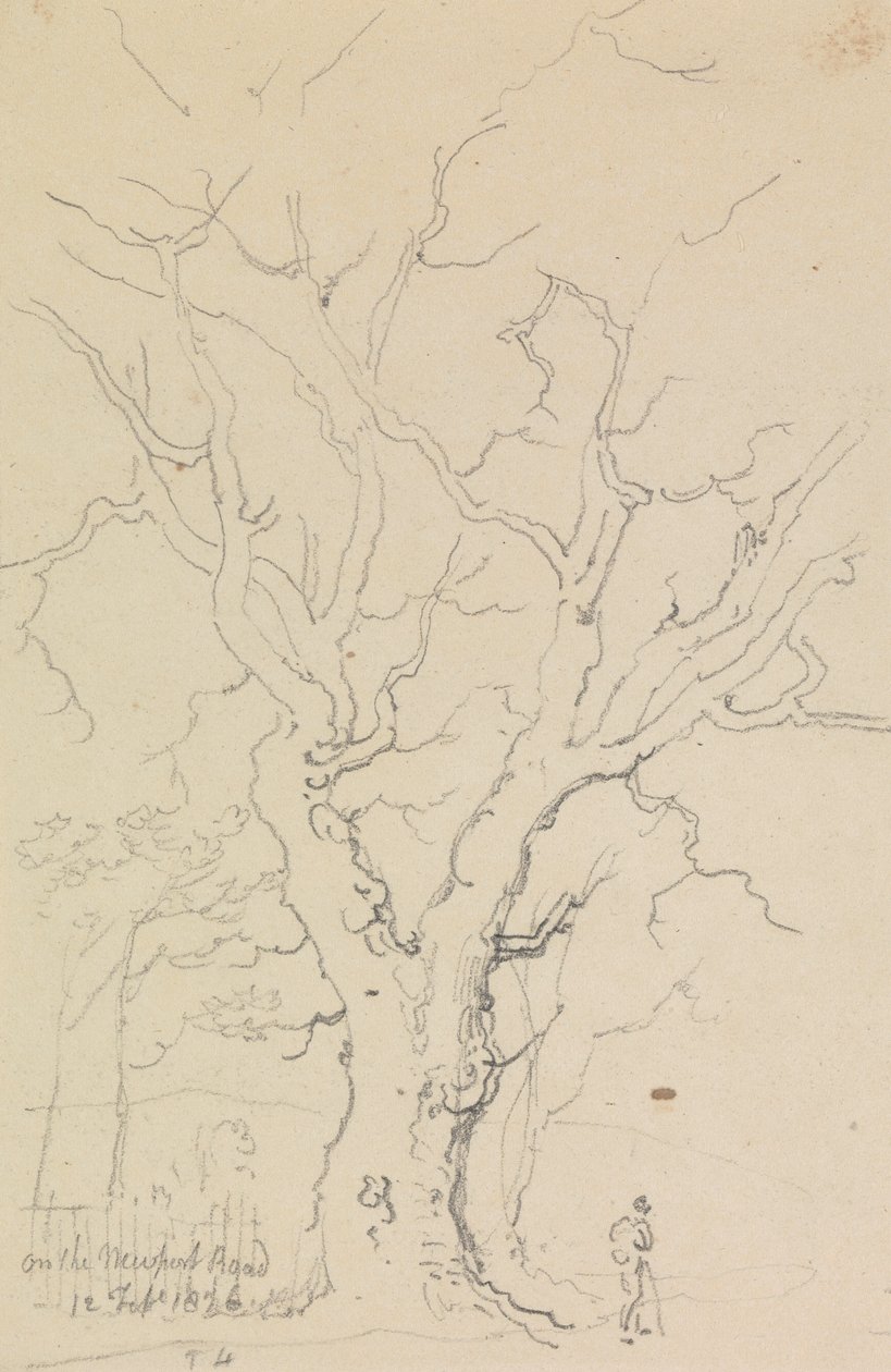Sur la route de Newport, 12 février 1826 - Capt. Thomas Hastings