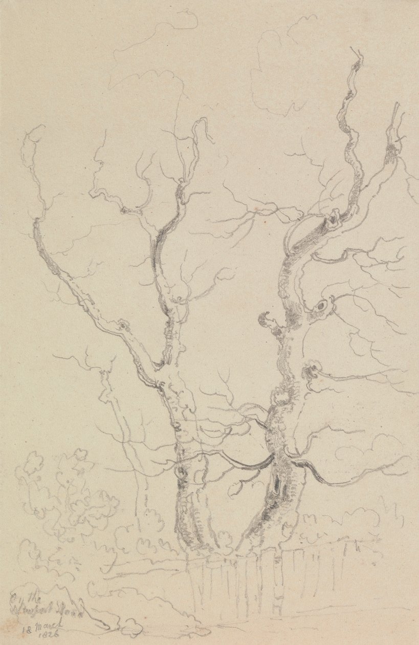 Sur la route de Newport, Île de Wight - Capt. Thomas Hastings