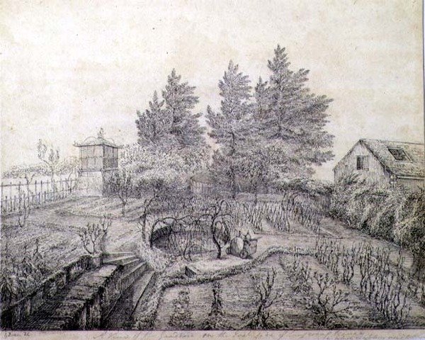 Vue des jardins de Napoléon Ier du côté est de Longwood House - Captain G. Rotton
