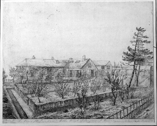 Vue du verger à l