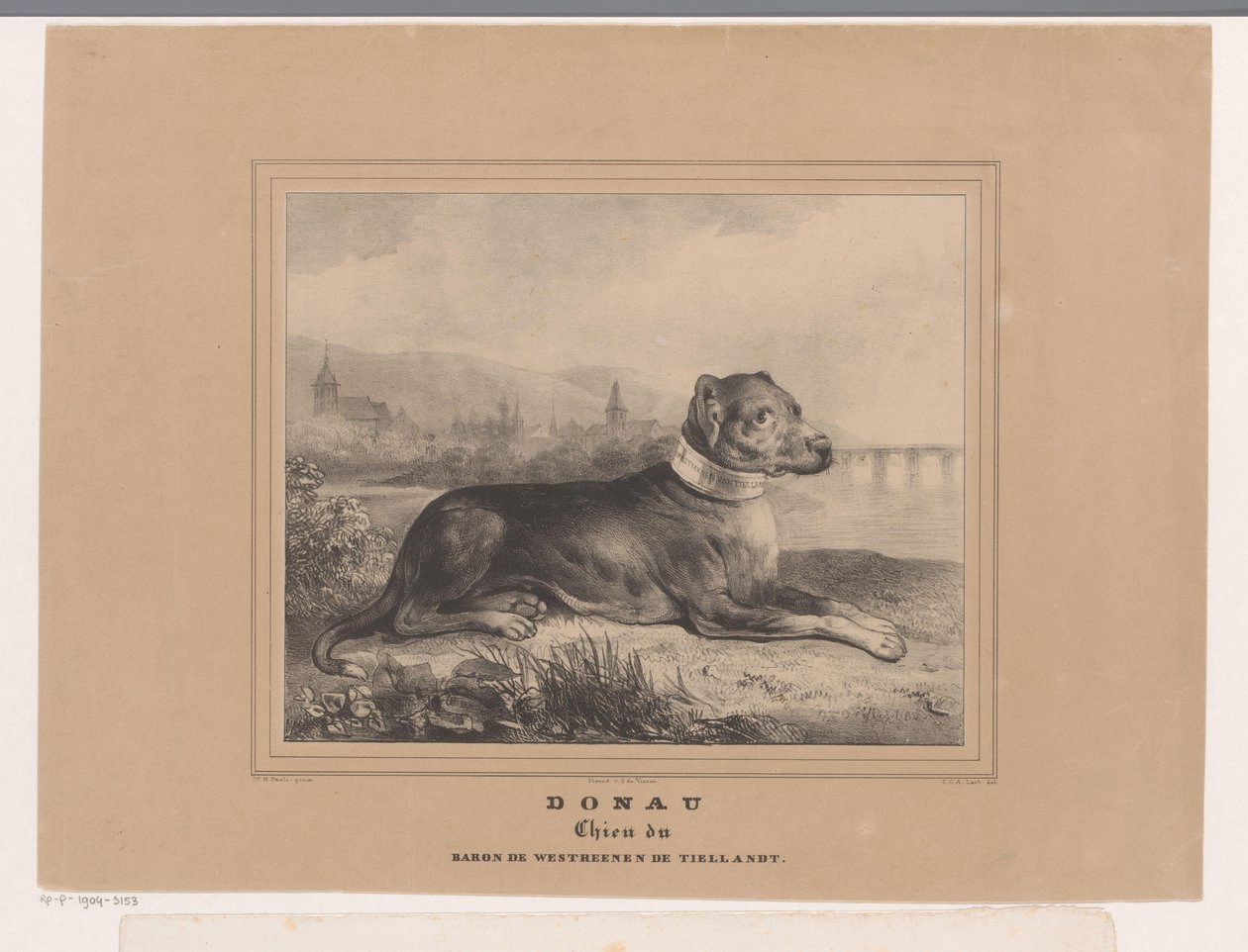Chien Donau - Carel Christiaan Antony Last